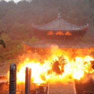 新少林寺／SHAOLIN 11枚目の写真・画像