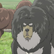 チベット犬物語〜金色のドージェ〜 6枚目の写真・画像