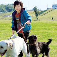 ひまわりと子犬の7日間 10枚目の写真・画像