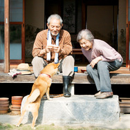 ひまわりと子犬の7日間 13枚目の写真・画像