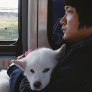 ムサン日記〜白い犬 2枚目の写真・画像