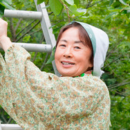 人生、いろどり 2枚目の写真・画像