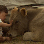 ベイビーズ-いのちのちから- 4枚目の写真・画像