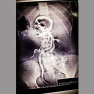 HIDDEN／ヒドゥン 7枚目の写真・画像