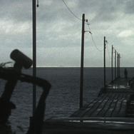 臍帯 1枚目の写真・画像