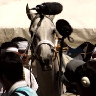 相馬看花-第一部 奪われた土地の記憶- 3枚目の写真・画像