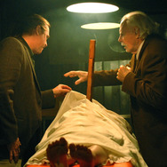 Virginia／ヴァージニア 3枚目の写真・画像