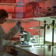 モンサントの不自然な食べもの 1枚目の写真・画像