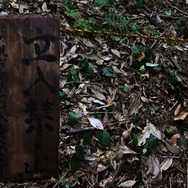 行方不明 2枚目の写真・画像