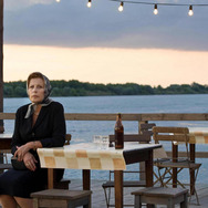 菖蒲 1枚目の写真・画像