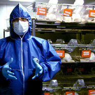 世界が食べられなくなる日 1枚目の写真・画像