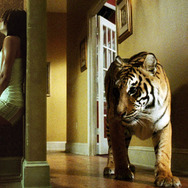 バーニング・ブライト 1枚目の写真・画像