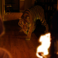 バーニング・ブライト 3枚目の写真・画像