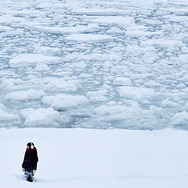 私の男 12枚目の写真・画像