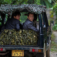 相棒-劇場版III- 巨大密室！特命係 絶海の孤島へ 4枚目の写真・画像