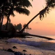 南の島の大統領−沈みゆくモルディブ− 1枚目の写真・画像