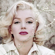 マリリン・モンロー 瞳の中の秘密 1枚目の写真・画像