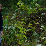 ランナウェイ／逃亡者 2枚目の写真・画像