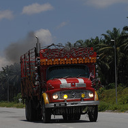 ケンとメリー　雨あがりの夜空に 9枚目の写真・画像