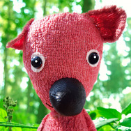 クーキー 2枚目の写真・画像