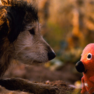 クーキー 6枚目の写真・画像