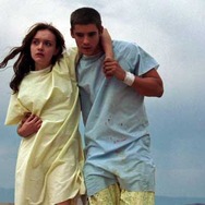 シグナル 1枚目の写真・画像