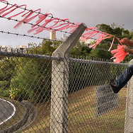 沖縄　うりずんの雨 5枚目の写真・画像