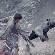 虎影 9枚目の写真・画像