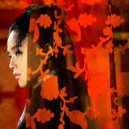 黒衣の刺客 1枚目の写真・画像