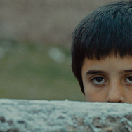 シーヴァス　王子さまになりたかった少年と負け犬だった闘犬の物語 1枚目の写真・画像