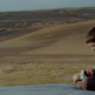 シーヴァス　王子さまになりたかった少年と負け犬だった闘犬の物語 5枚目の写真・画像