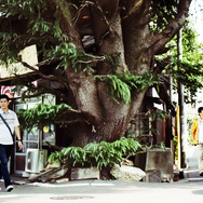 の・ようなもの のようなもの 4枚目の写真・画像