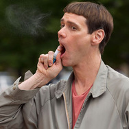 帰ってきたMr.ダマー バカMAX！ 4枚目の写真・画像