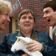 帰ってきたMr.ダマー バカMAX！ 5枚目の写真・画像