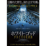 ホワイト・ゴッド　少女と犬の狂詩曲 6枚目の写真・画像