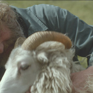 ひつじ村の兄弟 1枚目の写真・画像