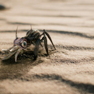 モンスターズ／新種襲来 9枚目の写真・画像