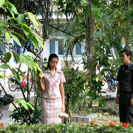 世紀の光 4枚目の写真・画像