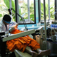 世紀の光 5枚目の写真・画像