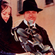 木靴の樹 2枚目の写真・画像