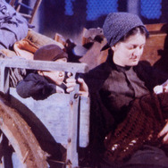 木靴の樹 3枚目の写真・画像