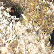 太陽 3枚目の写真・画像