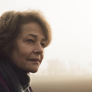 さざなみ 1枚目の写真・画像