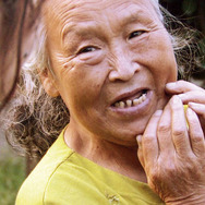 桜の樹の下 1枚目の写真・画像