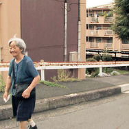 桜の樹の下 2枚目の写真・画像
