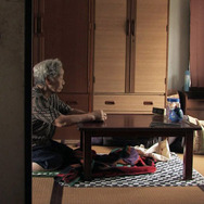 桜の樹の下 3枚目の写真・画像