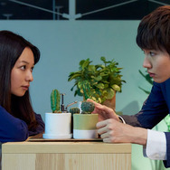 僕のサボテン 1枚目の写真・画像