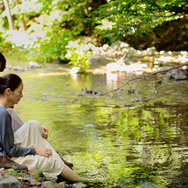 アルビノの木 1枚目の写真・画像