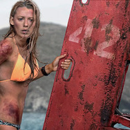 ロスト・バケーション 2枚目の写真・画像