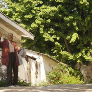 海へ　朴さんの手紙 1枚目の写真・画像